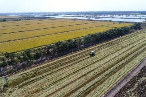 追隨百年夢想，構(gòu)筑實力光明 花博會百花館封頂禮成，光明騎行共繪文旅新篇